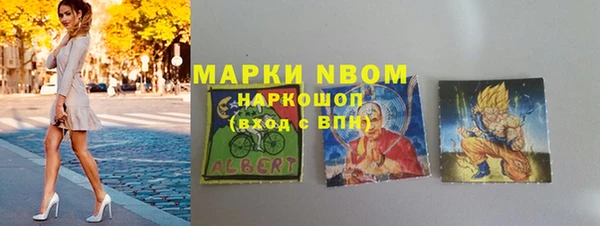 стафф Дмитриев