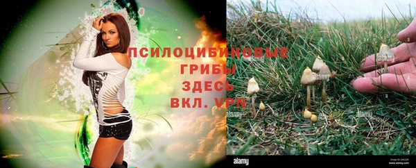мескалин Арсеньев