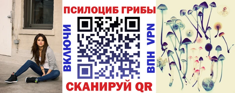Псилоцибиновые грибы прущие грибы  Байкальск 